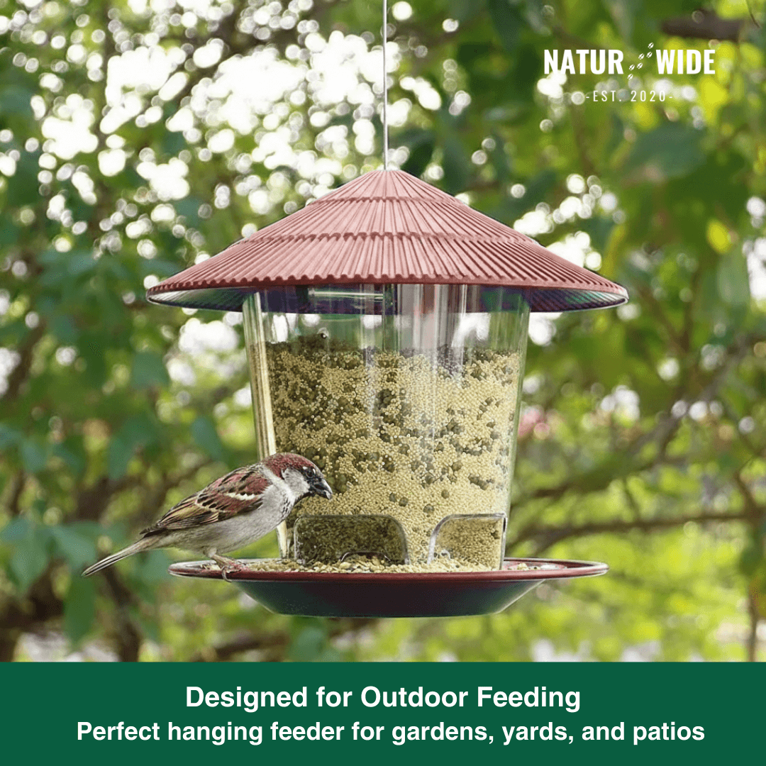 Gazebo Wild Bird Feeder – Hanging Outdoor Seed Station