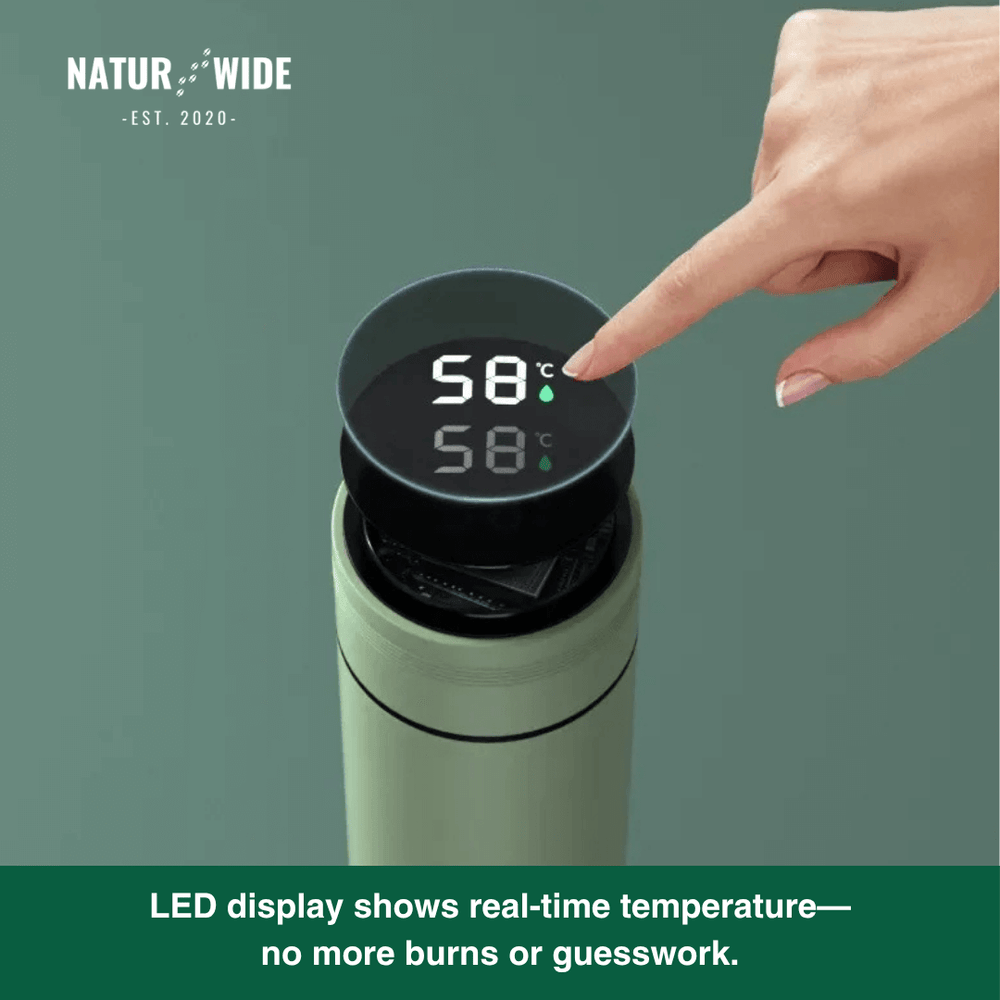 Smart Temperature Display